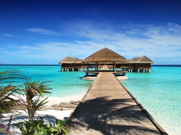 How to Plan Luxury Resort Transport on a Budget: A Definitive